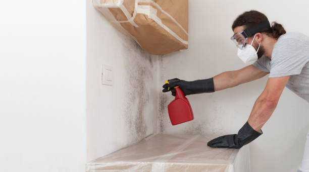 Professional Mold Remediation technician working in Moon, VA