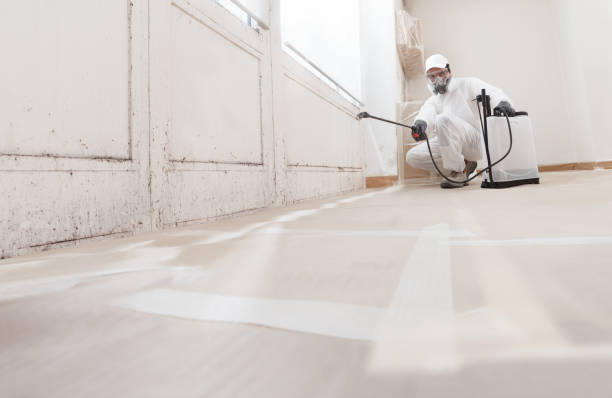 24/7 Emergency Mold Remediation experts in Moon, VA